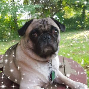 Meet your Posher, Eileen